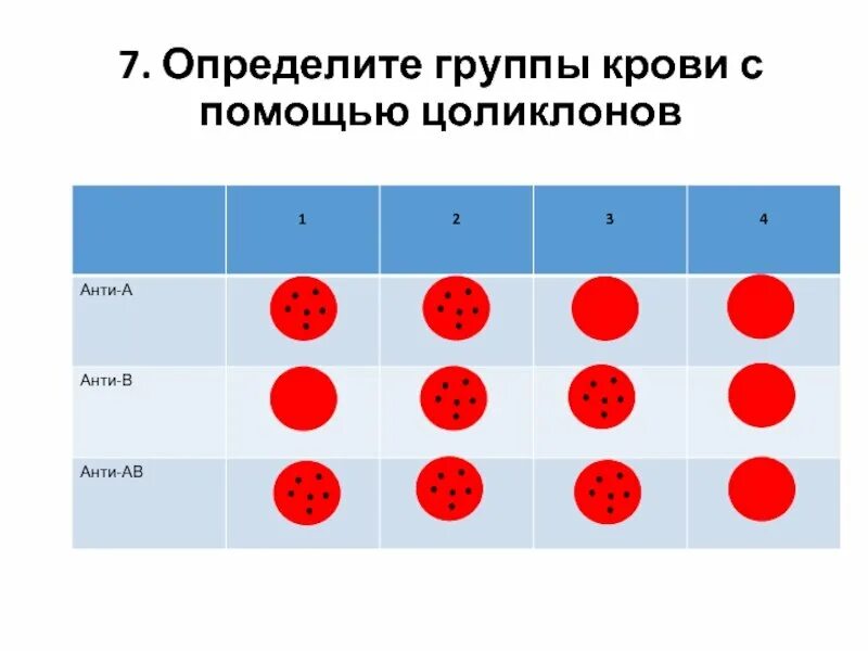Алгоритм определения резус фактора. Резус фактора цоликлонами таблица. цоликлон для определения резус фактора. определение группы крови и резус фактора цоликлонами таблица. группа крови и резус фактор цоликлоны.