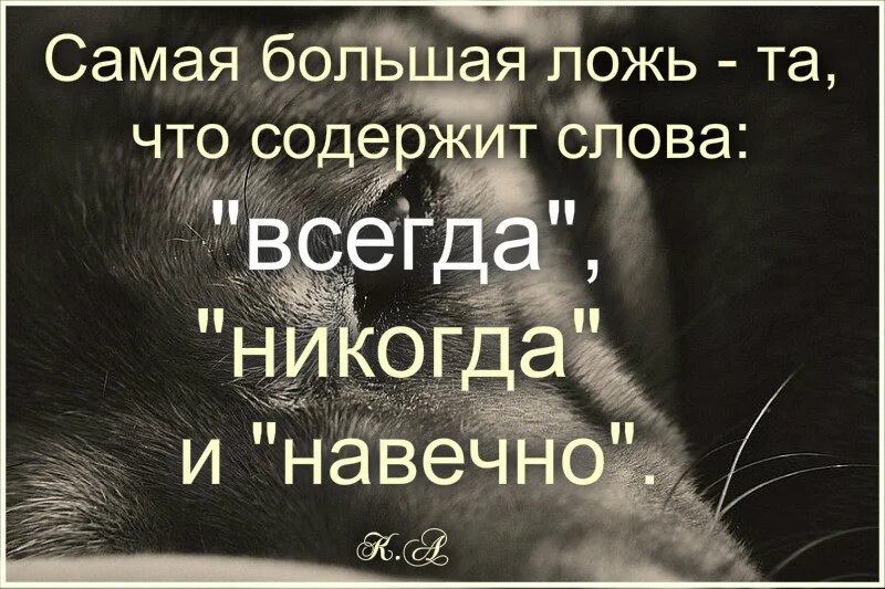 На вашу ложь мне просто. Цитаты про ложь. Ложь это цитаты и высказывания. Цитаты про вранье в отношениях. Фразы про ложь.