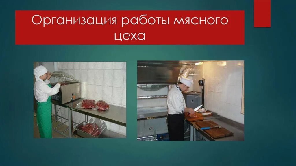 Организация мясного цеха на предприятиях общественного питания. Организация рабочего мясной цех. Инвентарь мясного цеха. Мясо рыбный цех.