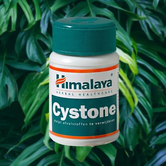 Хималайя. Himalaya цистон. Цистон (cystone) для мочевыделительной системы himalaya, 60 кап. Цистон аюрведа гималаи. Индийский таблетки гималай спеман.