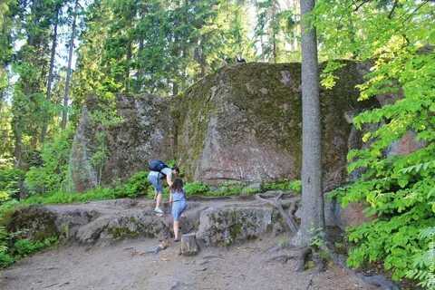 Монрепо как добраться от вокзала