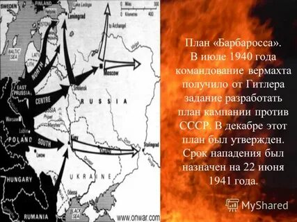 Луга план барбаросса