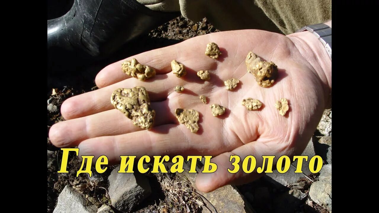 Золото правда. Где можно найти золото. Золото самородки в Приморском крае. Где можно достать золото. Золотой самородок где найти.