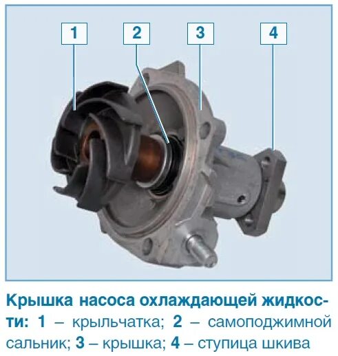 Сколько насосов в машине. Насос водяной ВАЗ 21214. Насос охлаждающей жидкости ВАЗ 21213. Насос системы охлаждения ВАЗ 2114. Насос охлаждающей жидкости ВАЗ 2114.