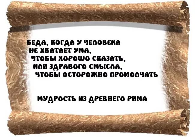 Цитаты про беду. Высказывание о нехватке ума. Цитаты про недостаток ума. Высказывания про отсутствие ума. Пришла беда большая беда