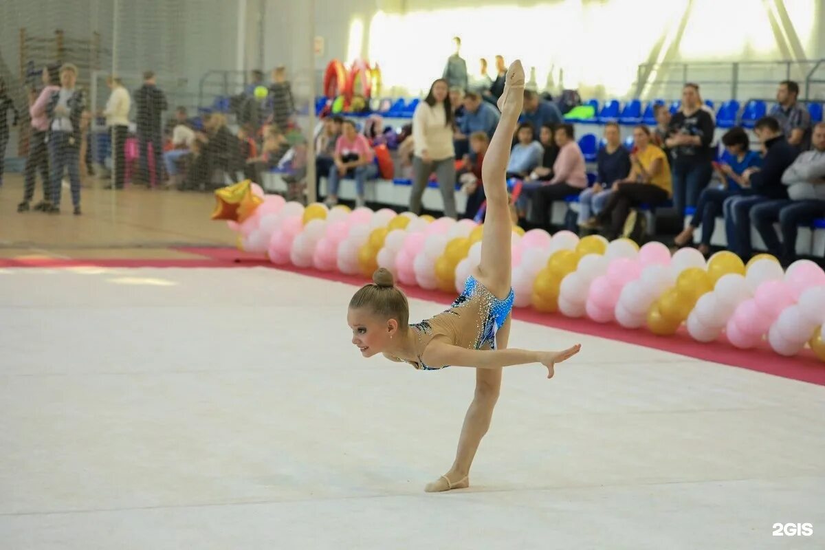 Шайдурова надежда анатольевна художественная гимнастика. Дети гимнасты. Гимнастика для детей люберцы. Грейс цхг москва. Гимнастика для детей люберцы.