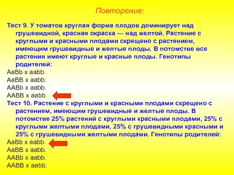 Круглая форма плодов томата доминирует. У томатов округлая форма плодов. у томатов округлая форма плодов а доминирует над грушевидной а. у томатов круглая форма плодов а доминирует. плоды томатов круглые и грушевидные.
