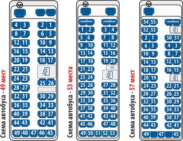 Бастрафик. Автобус Neoplan расположение мест 47 мест. JAC hk6120 автобус расположение мест. Схема автобуса Мерседес на 49 мест. Автобус Неоплан 50 расположение мест.