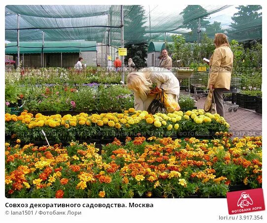 Индекс совхоз московский. Индекс совхоз московский