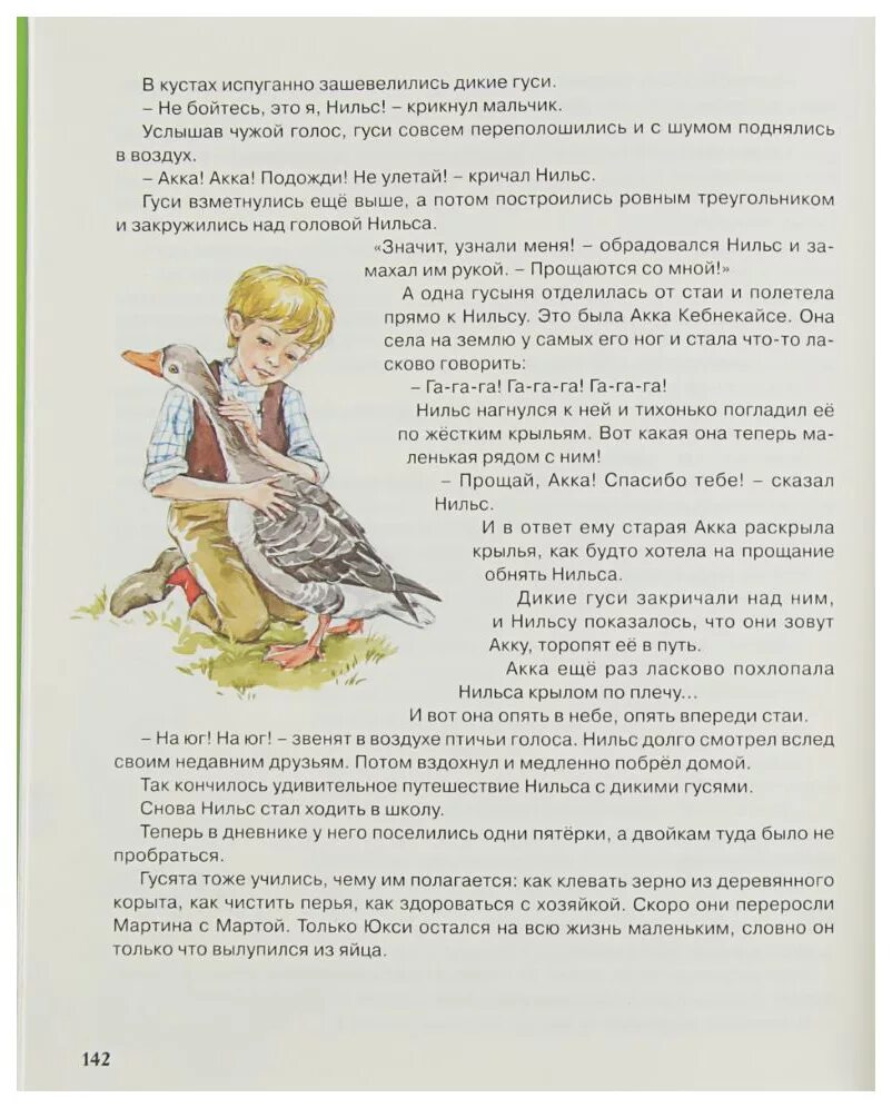 Путешествие нильса с дикими отзыв. Заклинание из Нильса с дикими гусями. Чудесное путешествие Нильса с дикими гусями проф-пресс. Заклинание из сказки чудесное путешествие Нильса с дикими гусями.