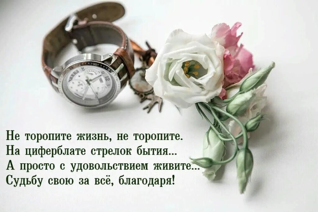 Жизнь дается на время. Стихи о времени и жизни. не торопите время. красивые стихи о времени. не торопите жизнь не торопите.