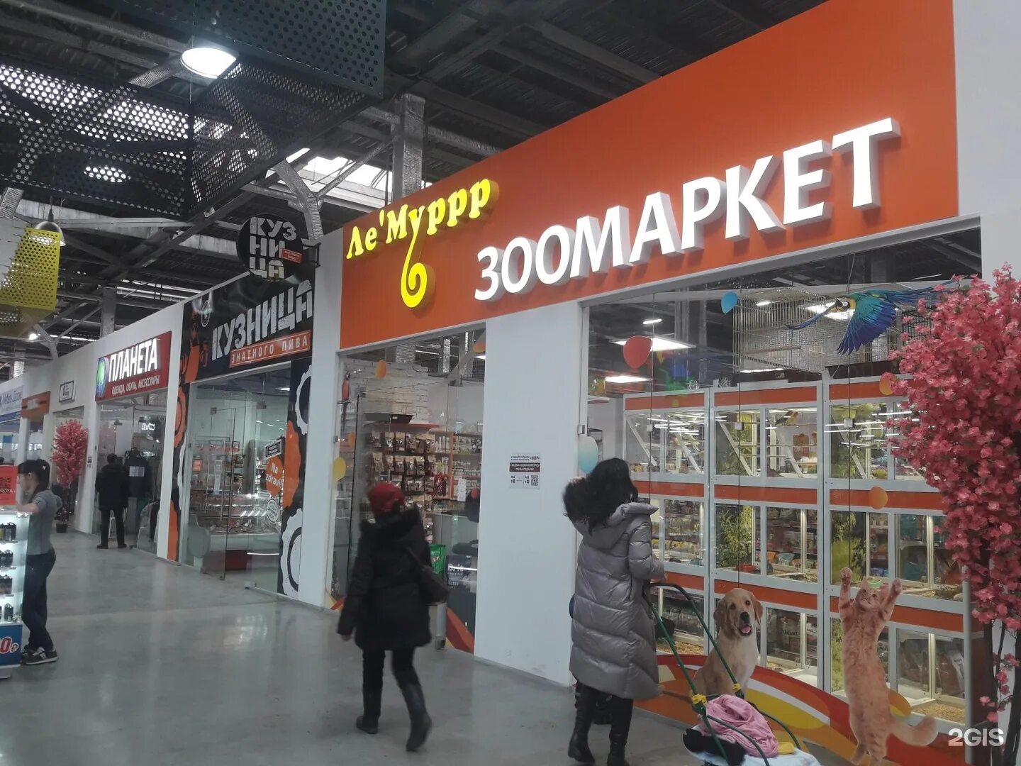 зоомаркет лемуррр самара. скидка на зоотовары. лемуррр магазин зоотоваров воронеж. лемуррр интернет магазин зоотоваров нижний новгород. лемуррр интернет магазин зоотоваров нижний новгород.