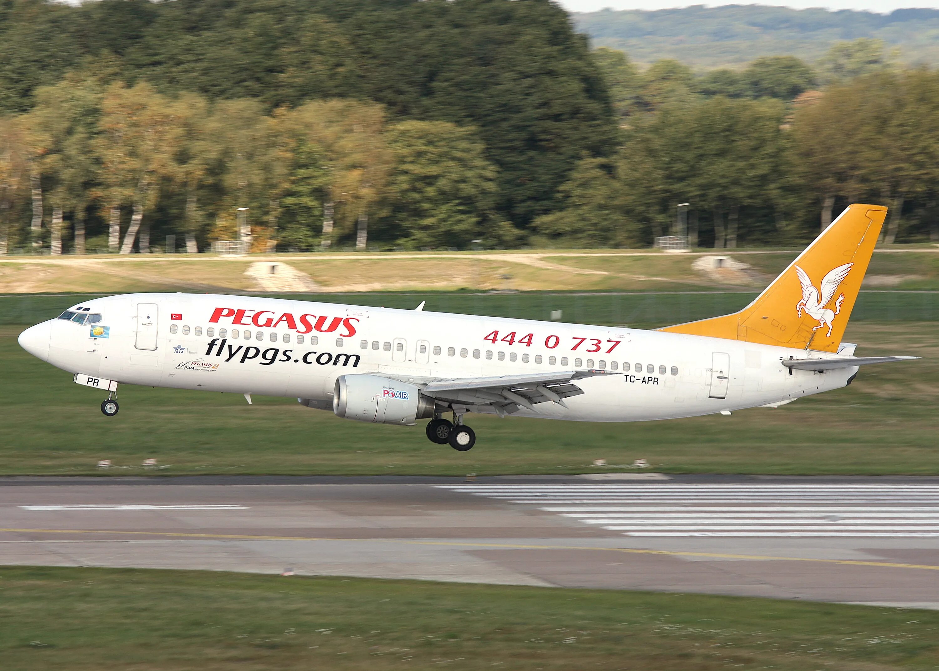 Pegasus авиакомпания сайт. Авиакомпания Пегасус Эйрлайнс. Boeing 737 Pegasus Airlines. А321 Пегасус. Pegasus Airlines Авиапарк.