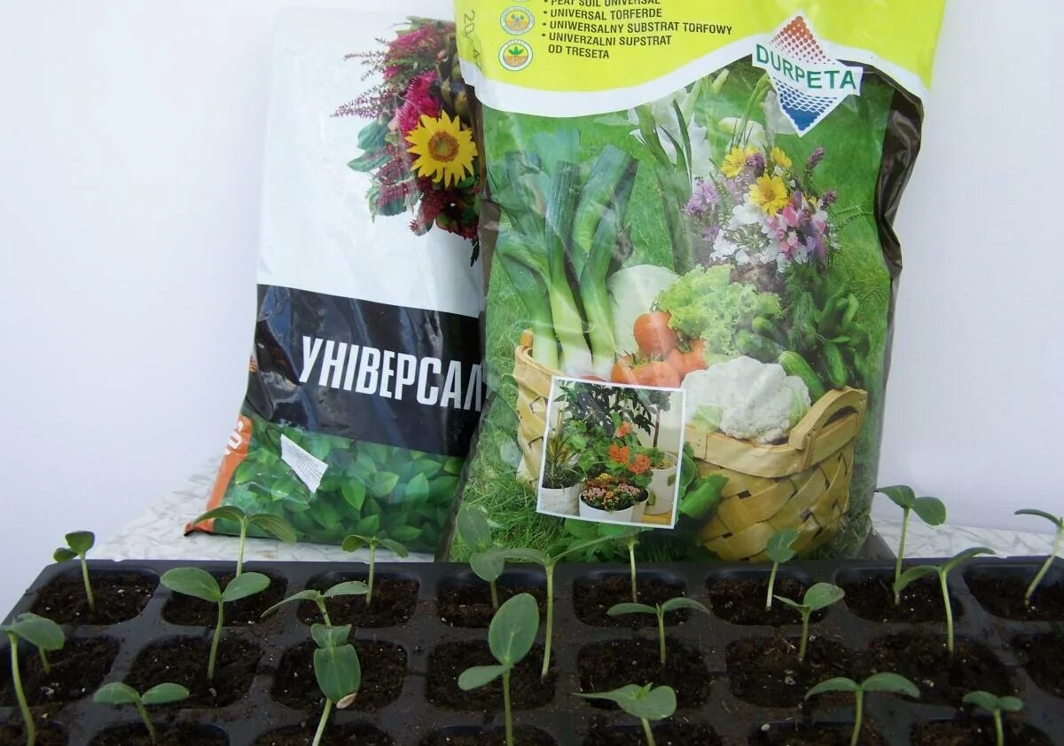 Грунт для рассады агро. Упаковка грунта в пакеты. пакеты для рассады. грунты разные в пакетах. почва в пакете.