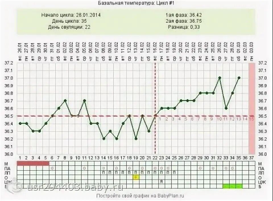 Температура во втором цикле. График базальной температуры на 27 день цикла. Базальная температура на 23 день цикла. График базальной температуры при беременности 36.8. График базальной температуры с овуляцией на 10 день.