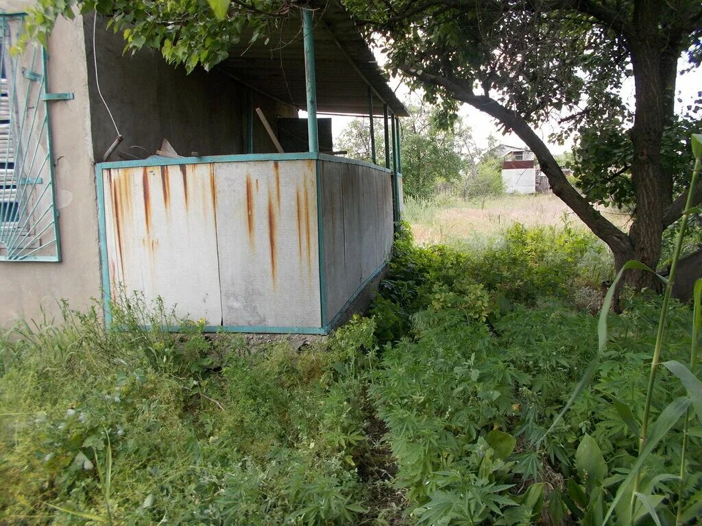Снт изобилие волжский. Турбаза изобилие Волжский. СНТ изобилие Волжский пляж. Чайка, СНТ изобилие.