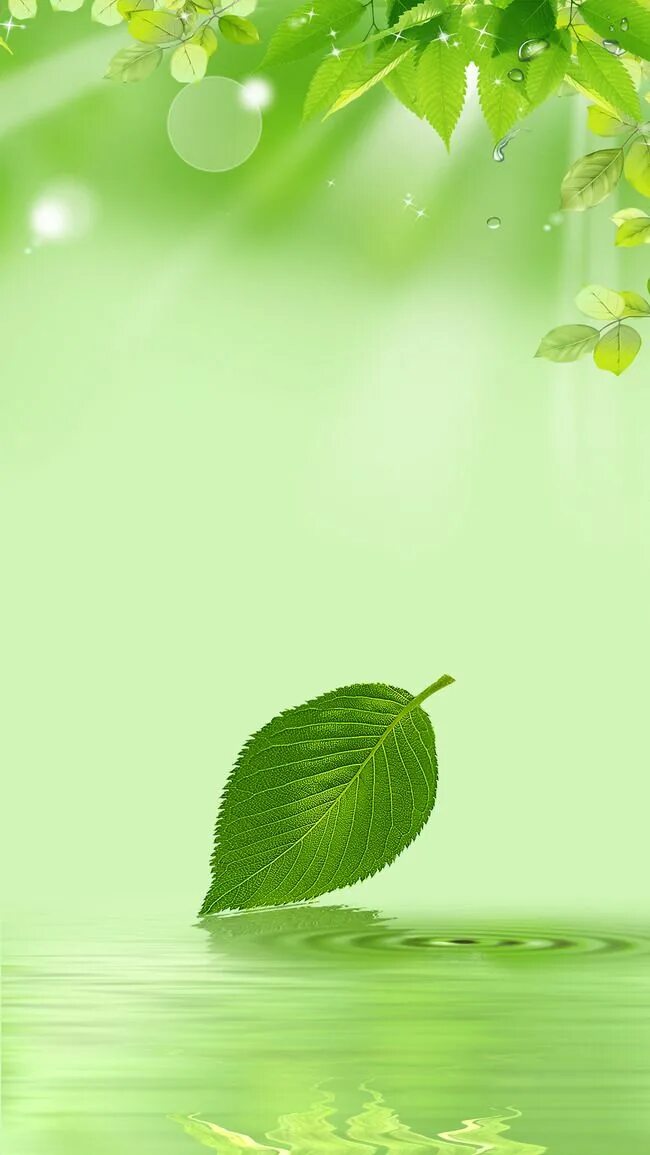 Фон для презентации природа. Салатовый фон для презентации. Фон для презентации по экологии. Экологический фон. Зеленый фон экология.