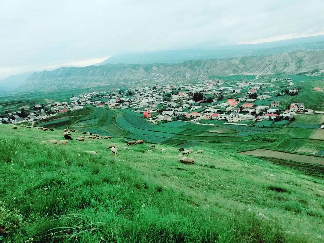 Леваши где