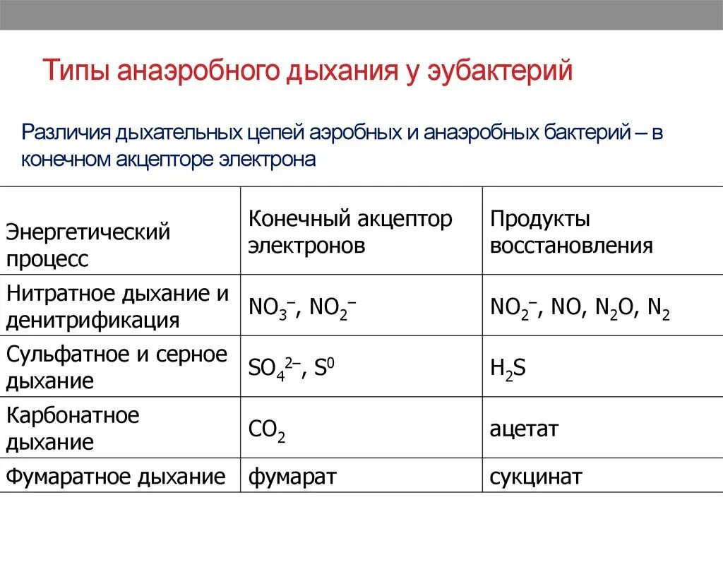 Сравнение анаэробного и аэробного дыхания таблица. Типы анаэробного дыхания у прокариот. Бактерии с анаэробным типом дыхания. Виды бескислородного дыхания. Аэробного типа