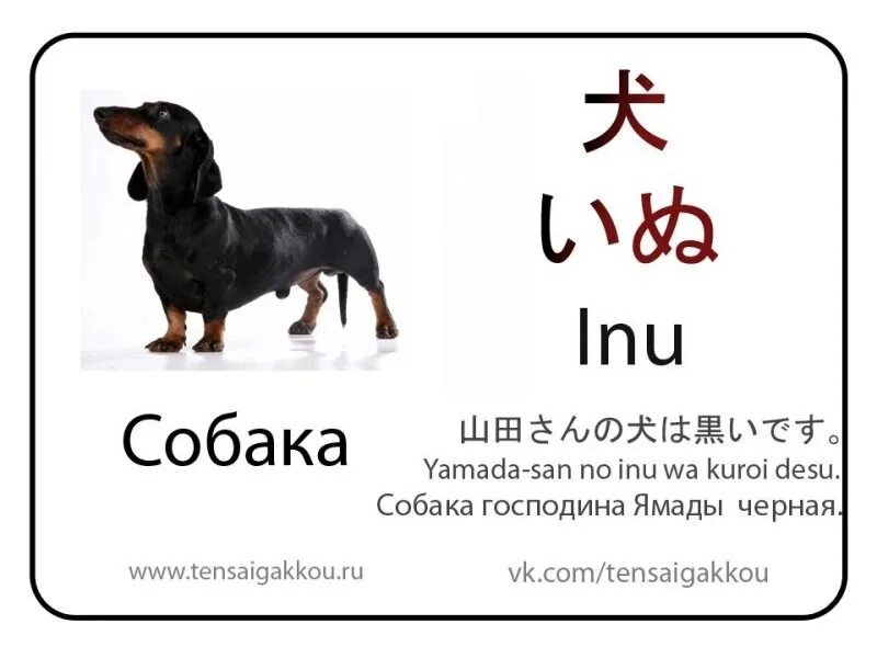 Как будет собака на китайском. Собака на японском языке. Названия животных на японском. Японские клички для собак. Название животных на японском языке.