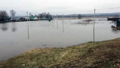 Уровень протвы пост в спас загорье