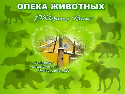 Велес спб