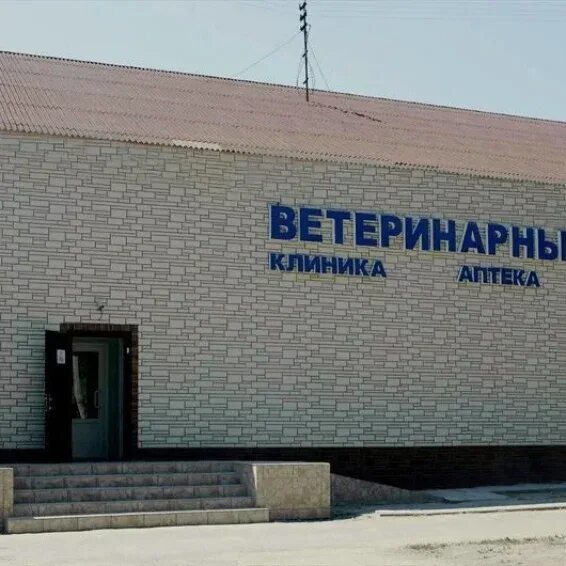 Волгоград ветеринарная круглосуточная. Ветеринарная травматология. Круглосуточные ветеринарные клиники волгоград. Улица быстрова волгоград. Ветеринарный центр волгоград.