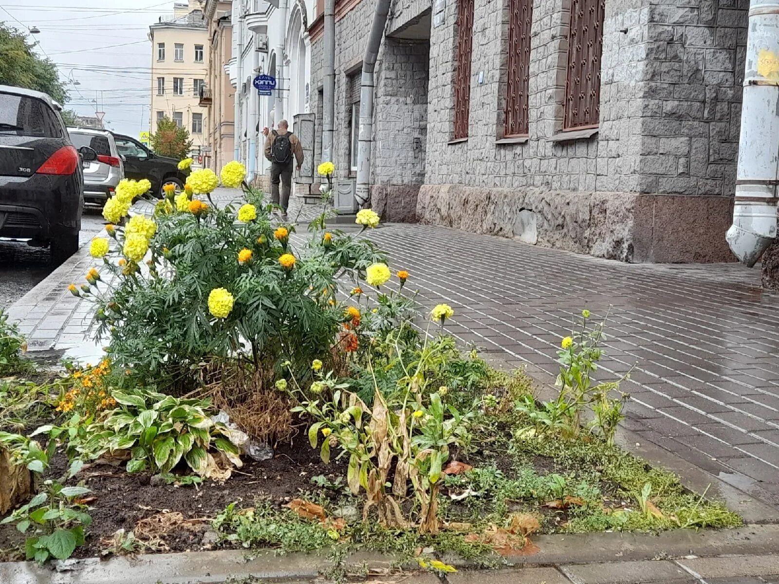 Лето на Васильевском острове. Васильевский остров Васька. Васильевский остров фотосессия. 8-9 Линия Васильевского острова.