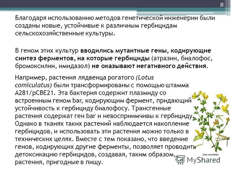 Обработка гербицидами сахарной свеклы. Клопиралид гербицид. Пестициды и гербициды. Гербициды, классификация гербицидов. Гербициды от сорняков норма расхода.