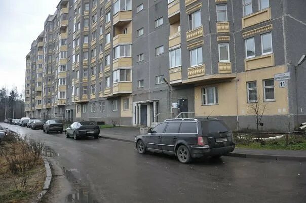 Улица дмитрия кожемякина. Сертолово дмитрия кожемякина 11/1. Улица кожемякина. Улица кожемякина. Сертолово ул кожемякина.