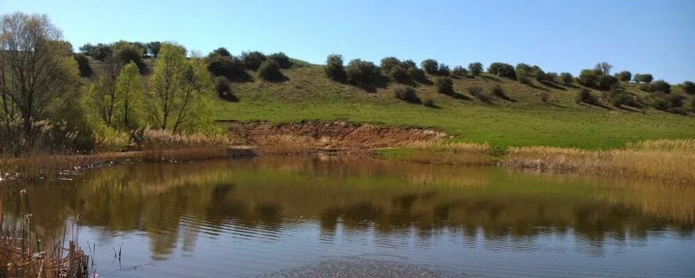 Погода село паник. Афиша соревнований по рыбной ловле. Погода село паник. Х. Паника в селе.