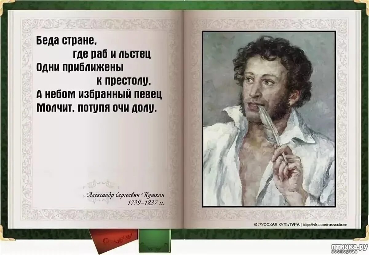 Что говорил пушкин о россии. Высказывания поэтов. Пушкин цитаты. Смешные фразы Пушкина. Фразы Пушкина.