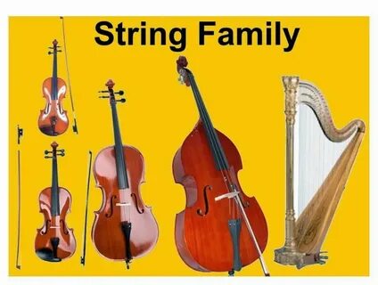 String instruments