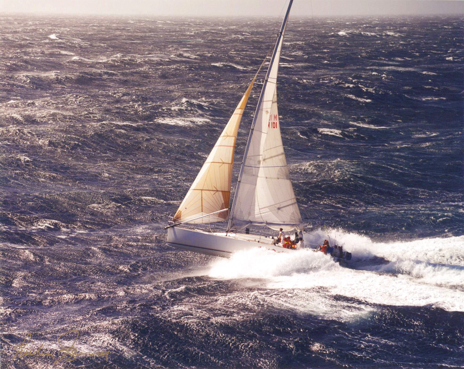 Sailing a live