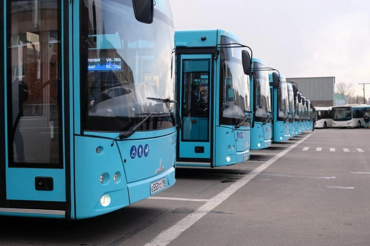 Пассажир автотранс. Спб гуп пассажиравтотранс. 1 парк спб пассажиравтотранс автобусный. автобусы гуп спб пассажиравтотранс. пассажиравтотранс новые автобусы.