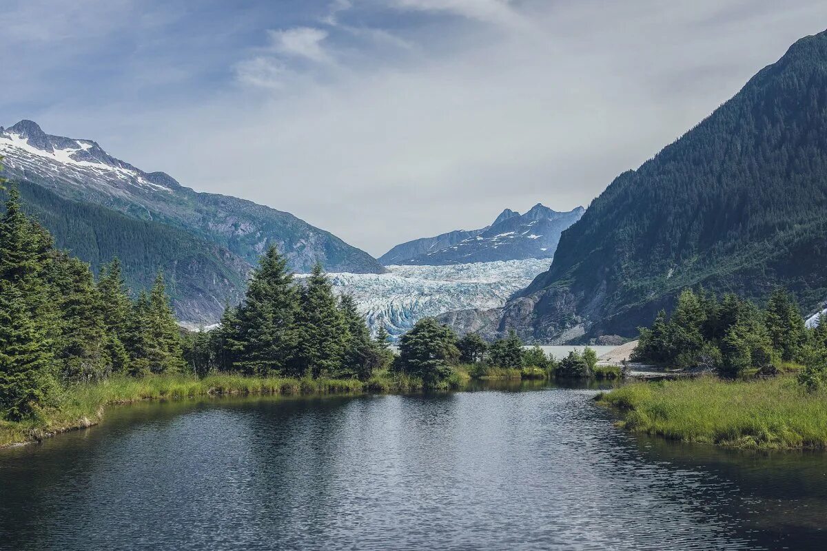 Аляска интересные факты. Штат Аляска природа. Река сосна Аляска. Аляска (штат США). Дикая природа Аляски.