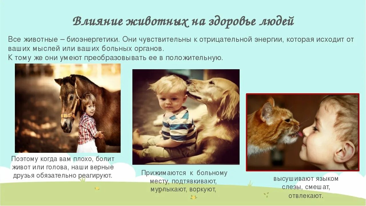 1 домашним животным была