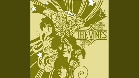 The vines