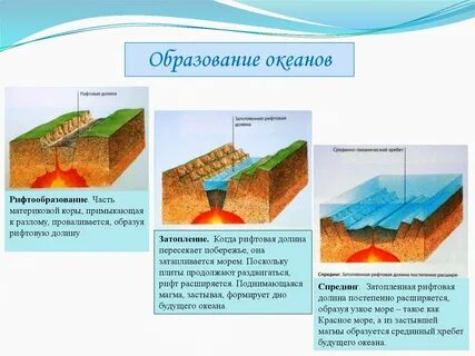 Океан образование