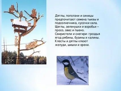Составь предложение синицы сад в прилетели зимний