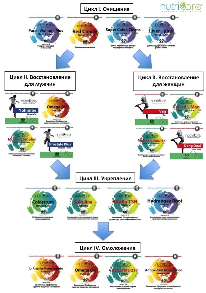 Через сколько восстанавливается цикл. Приемы чистки циклов. Питание для восстановления цикла. Схема приема витаминов для женщин для восстановления цикла. Цикл приема витаминов для профилактики.