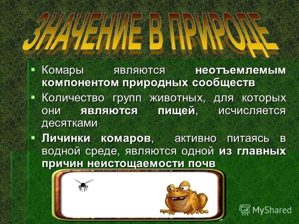 Развитие понятия о числе таблица. Одо количество участников. Тапы семьи в обществознании. Типология обществ дописьменные и письменные. Семантический объем слова это.