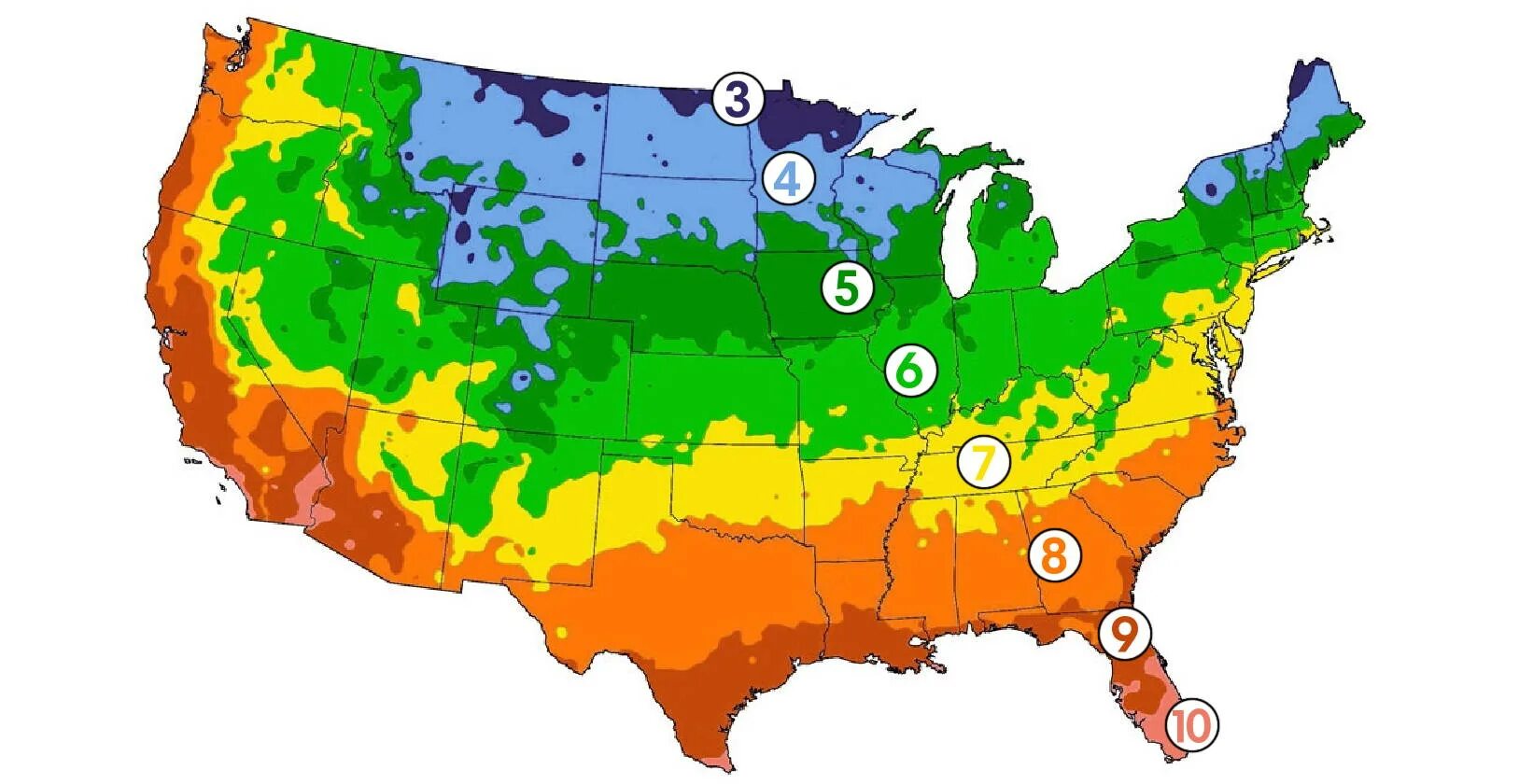 USDA Zones Plant Hardiness. USDA 6 зона. Climate of the USA. 10 Зона USDA.