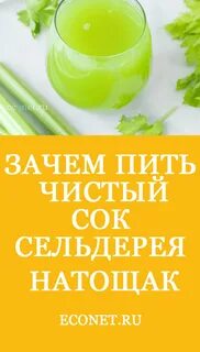 Сельдерей сок натощак утром