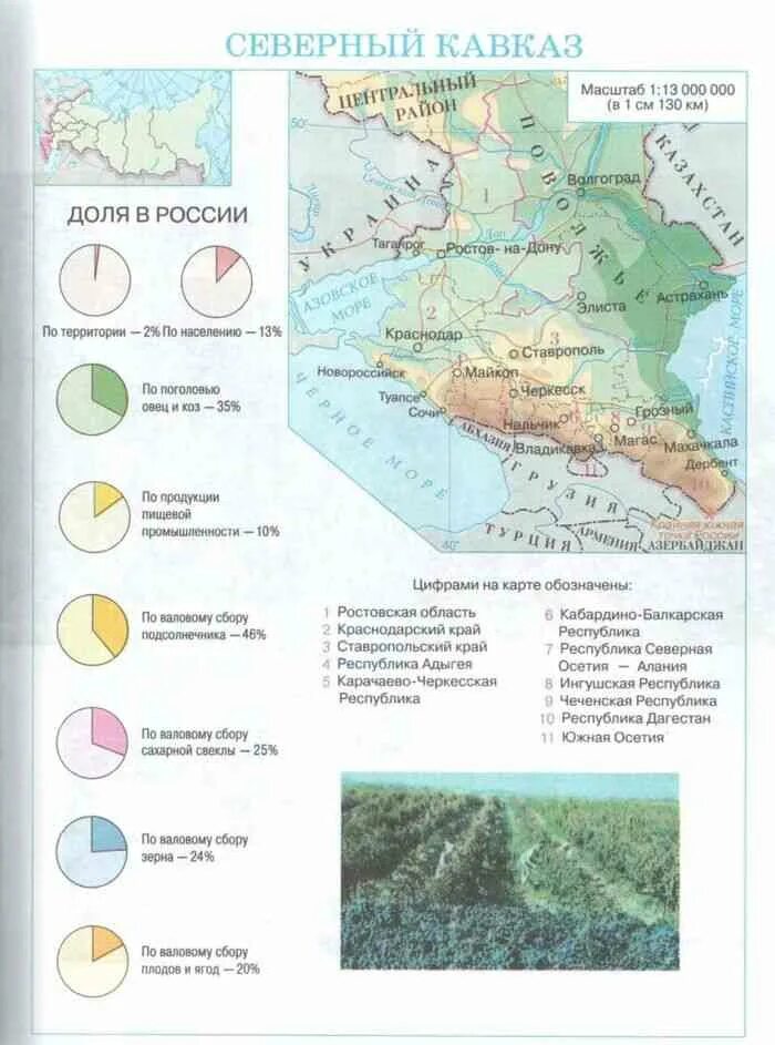География России 9 класс хозяйство и географические районы Алексеев. Северный Кавказ география 9 класс. Состав Северного Кавказа география 9 класс. Северный Кавказ контурная карта 9 класс. Народы северного кавказа география 9