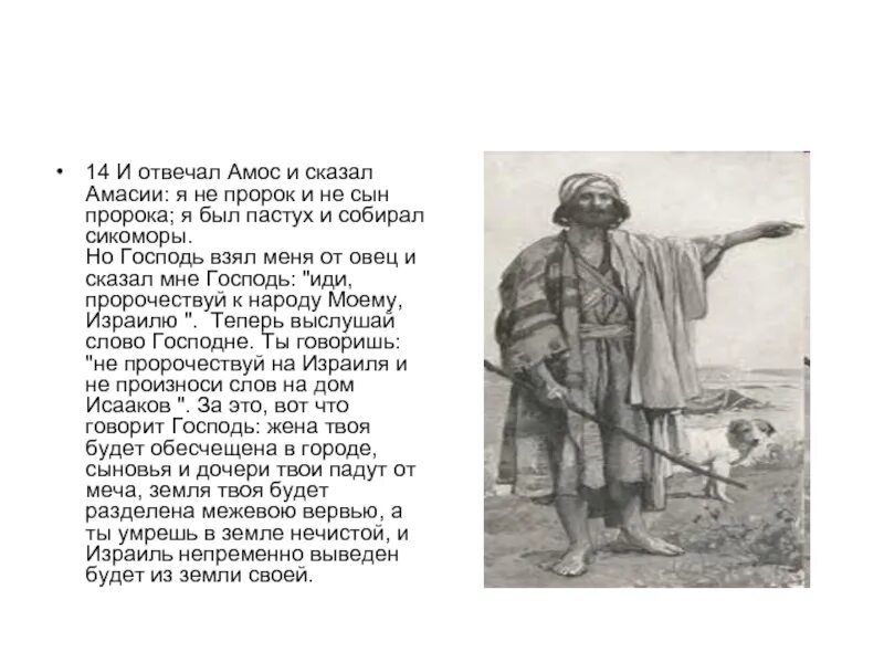 Кто был первая пророк. Библия пророк амос. пастух амос. книга пророка амоса. книга пророка амоса картинки.
