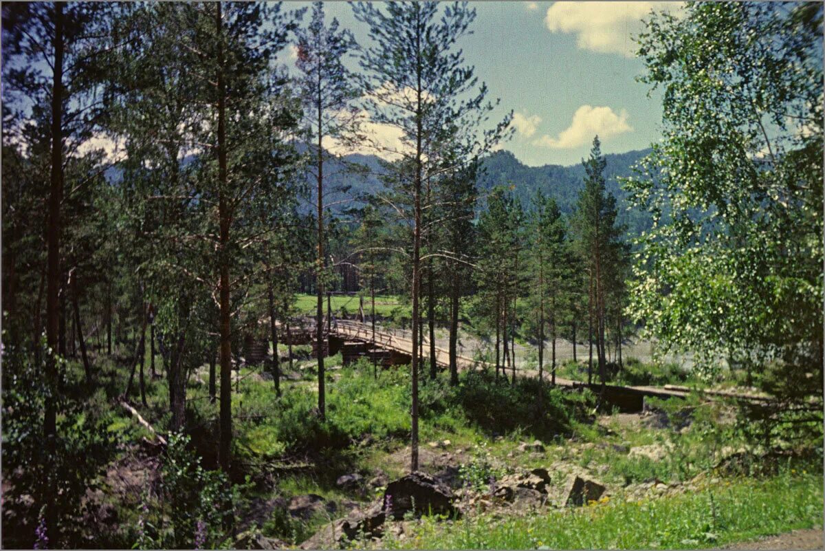 Аскат катунь. Село аскат катунь. Деревня аскат горный алтай. Село аскат горный алтай. Деревня аскат горный алтай.