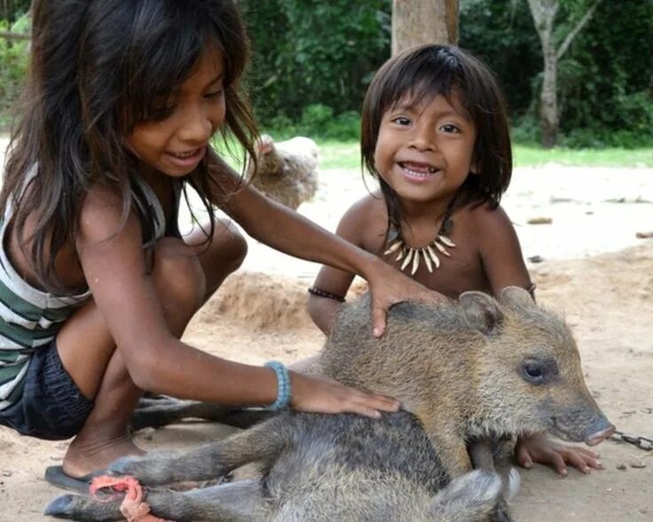 Дикая женщина. Племена амазонки. Дети диких племен Амазонии.