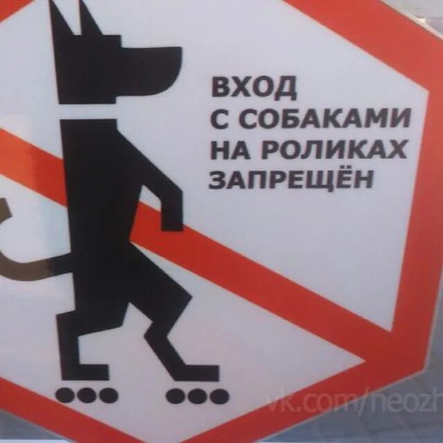 Собакам вход запрещен прикольные. Проход с собаками запрещен. Собака с мороженым на роликах вход запрещен. Собака на родиках с мороженны.