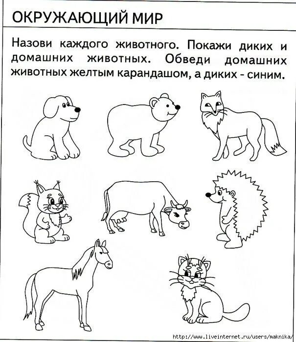 Задания по теме домашние животные для дошкольников. Задание по окружающему миру для дошкольников домашние животные. животные задания для дошкольников. домашние животные задания для дошкольников. задания по окружающему миру для дошкольников.